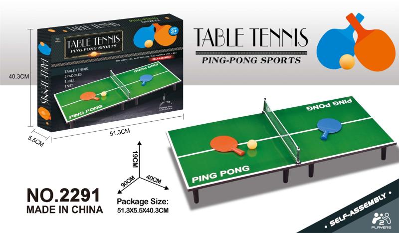 Table de Ping-Pong à poser (Large)